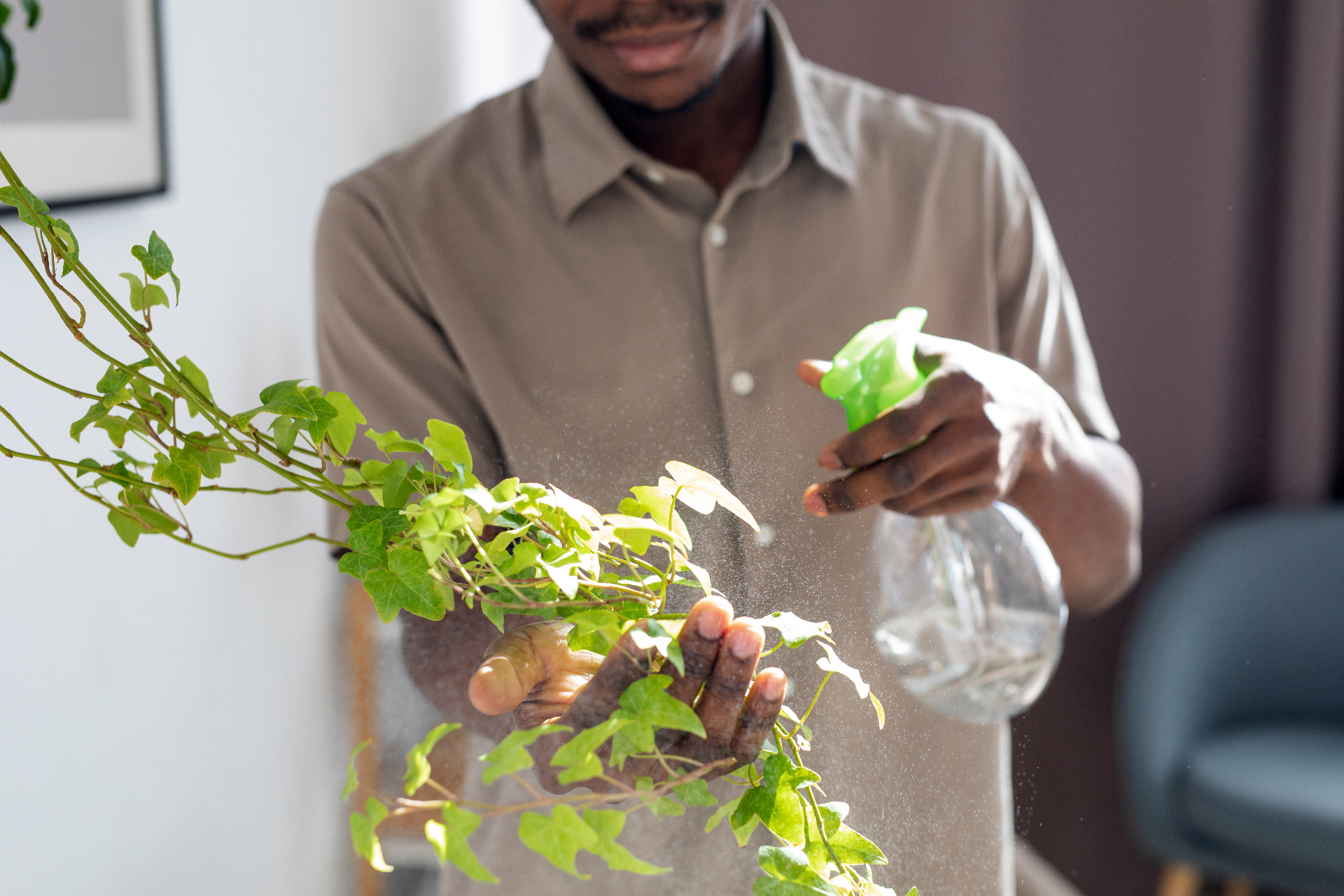 Botanical extraction