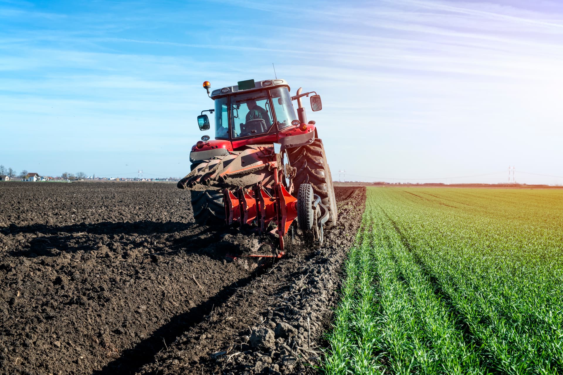 Biopesticide